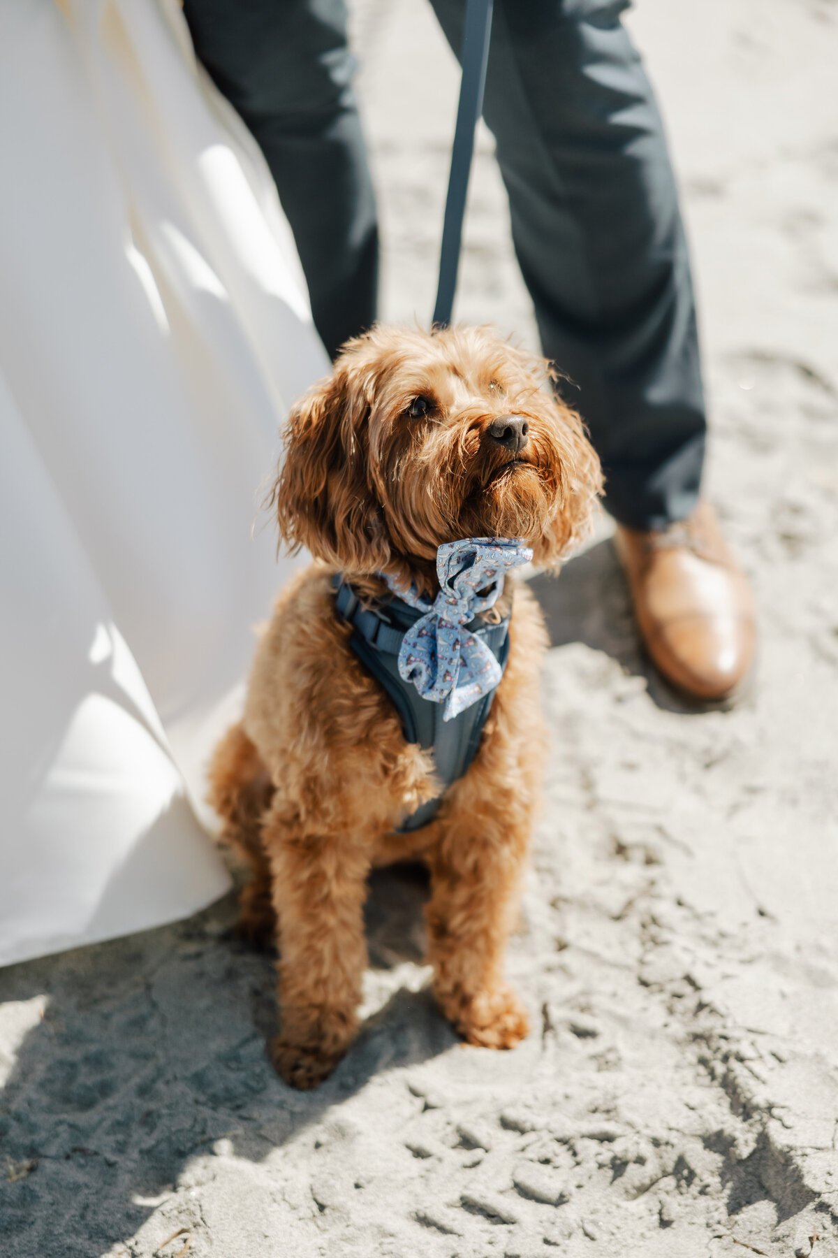 Lena Mirisola Photography Boston Massachusetts East Coast New England Wedding Engagement Photographer Inclusive Luxury LGBTQ Friendly Lena-Mirisola-Boston-Wedding-Photographer-031
