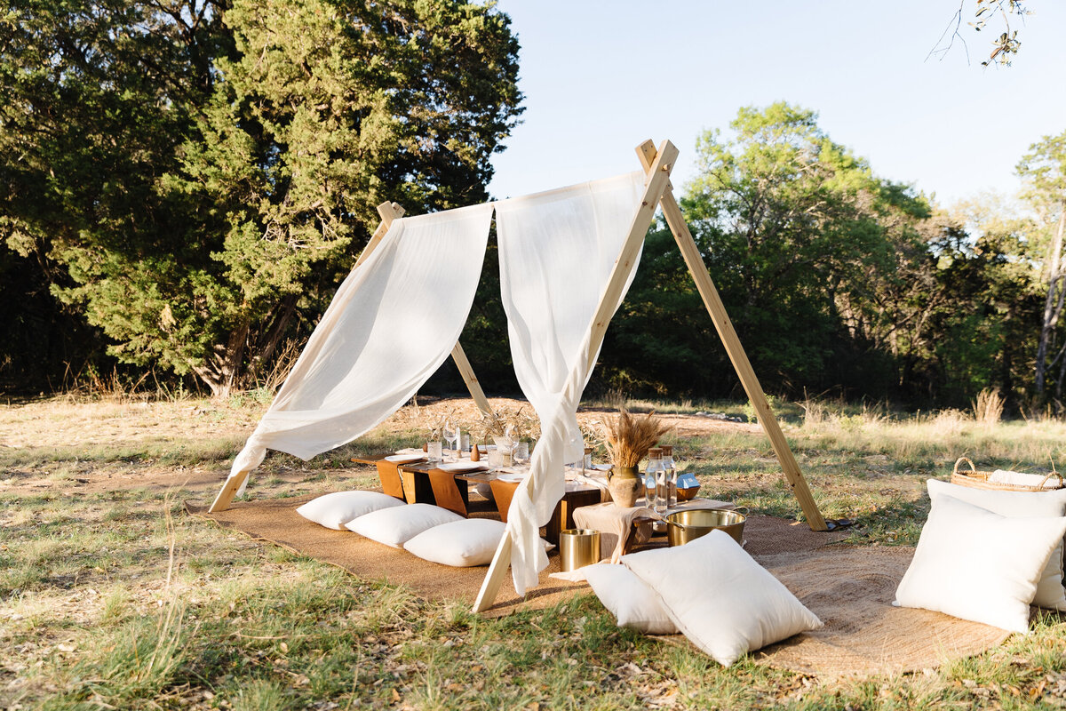 Austin Picnic Service - Modern and Ancient Table - Honey Social Picnic Co.