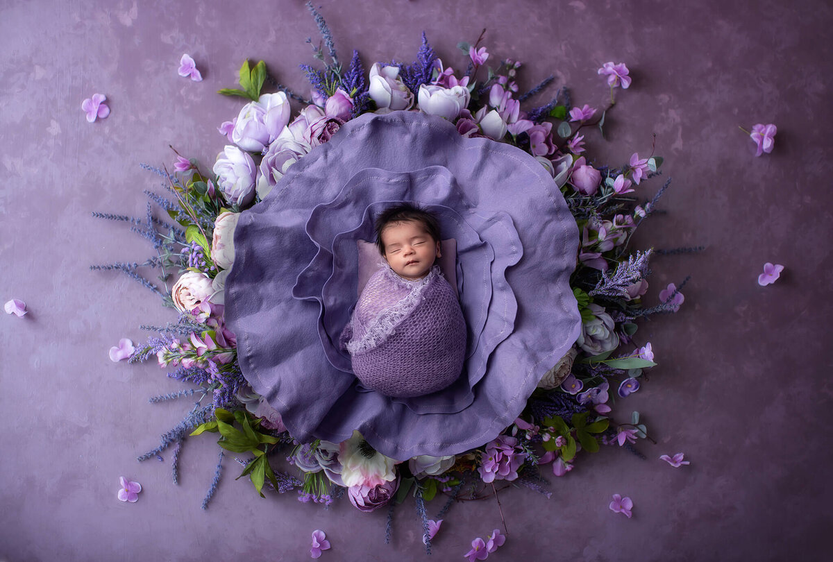 baby in purple flower