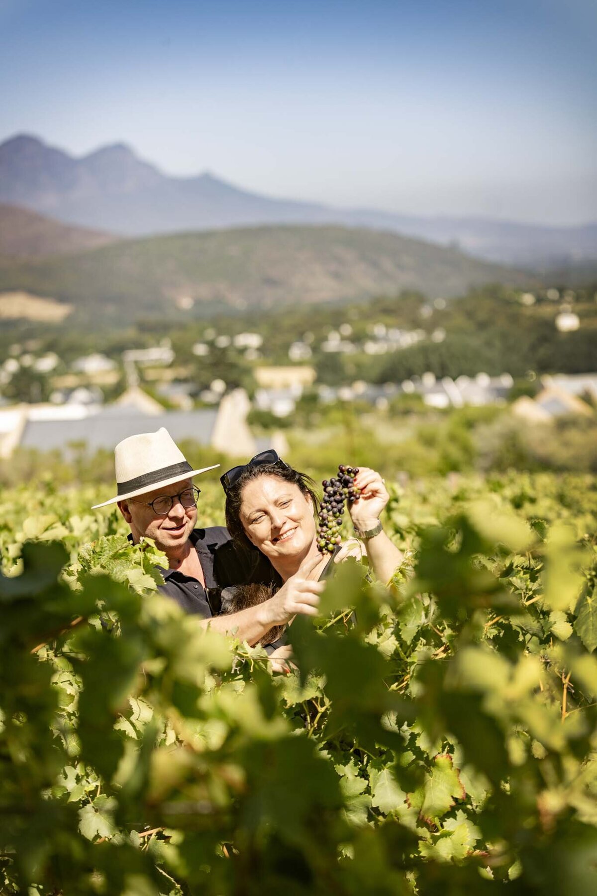My Liefste wines, South African wines Franschhoek, wijn kopen Zuid-Afrika