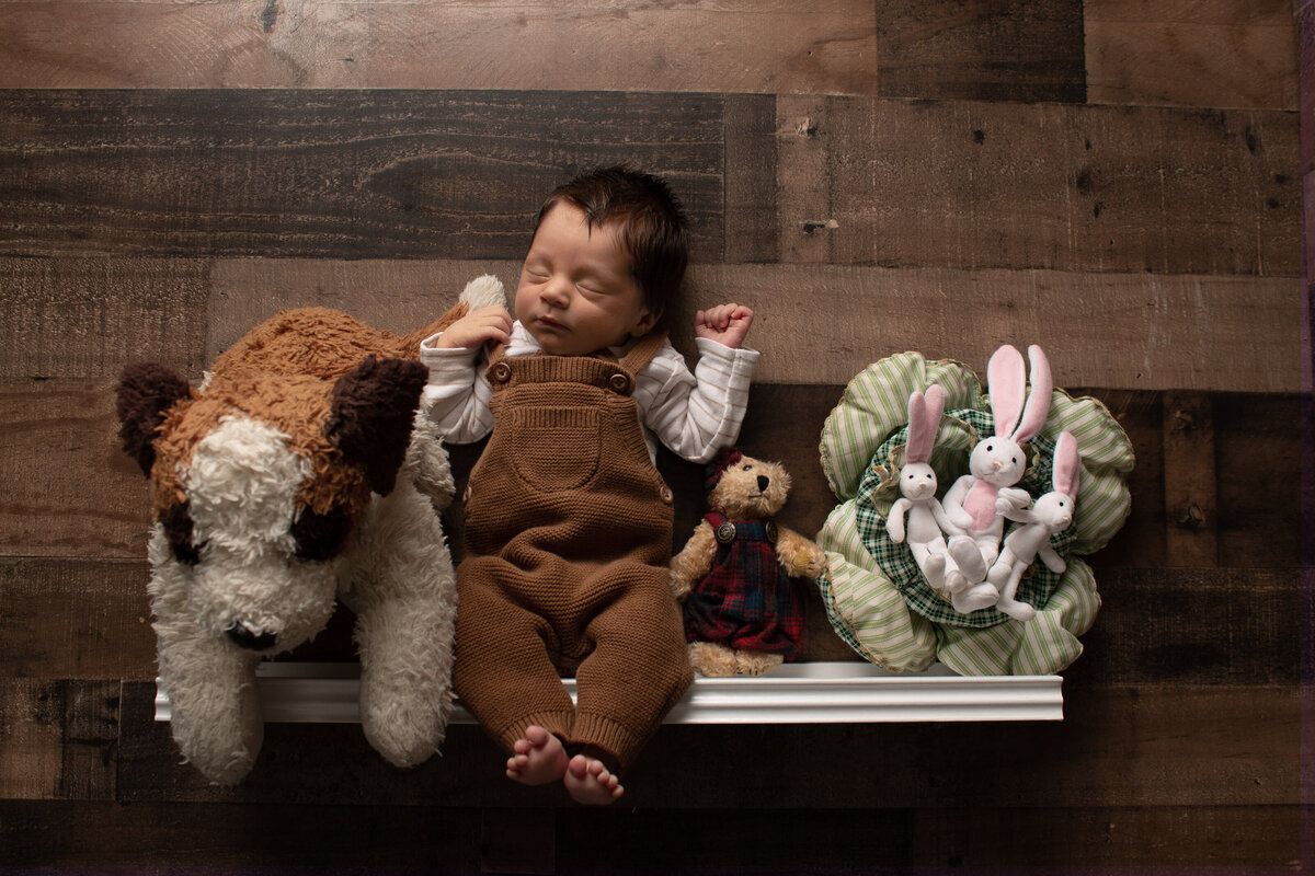 Minot, ND newborn on a shelf with stuffed animals.