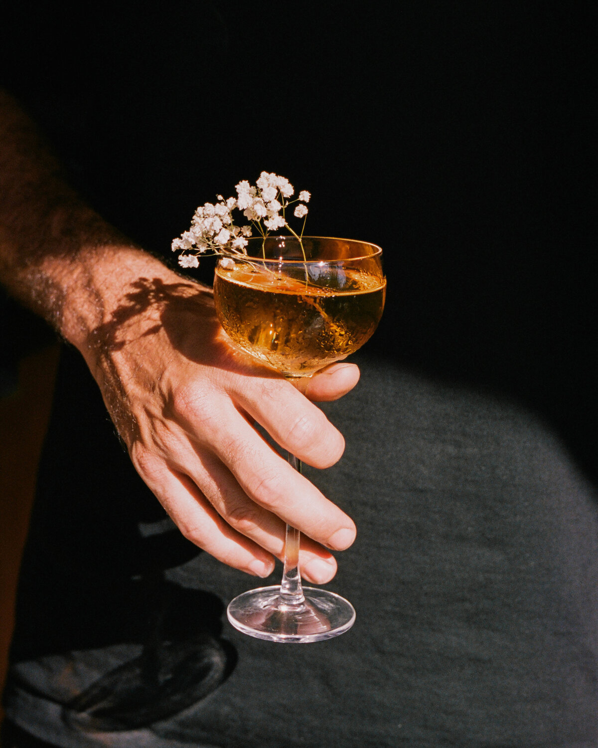 Bar Vera