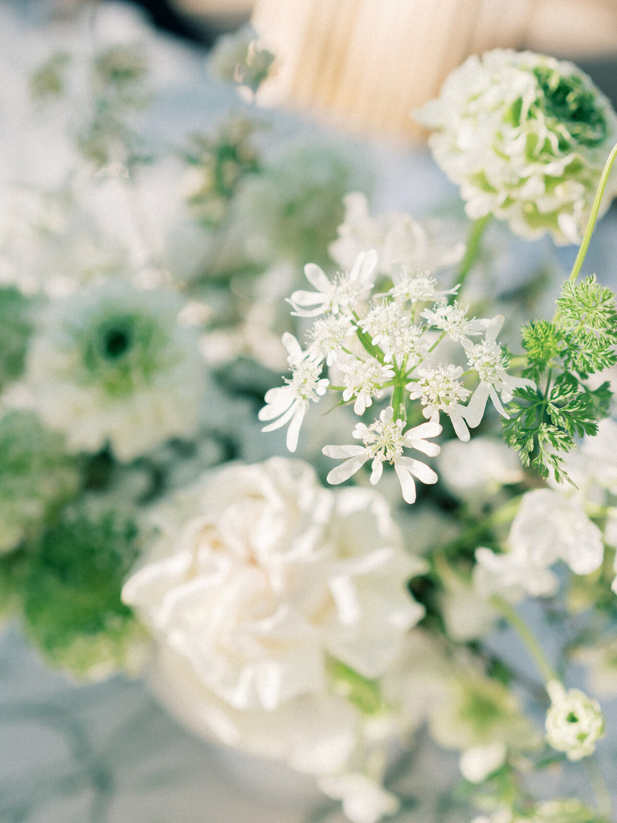 wormsloe_savannah_georgia_wedding_mary_ann_craddock_photography_0024