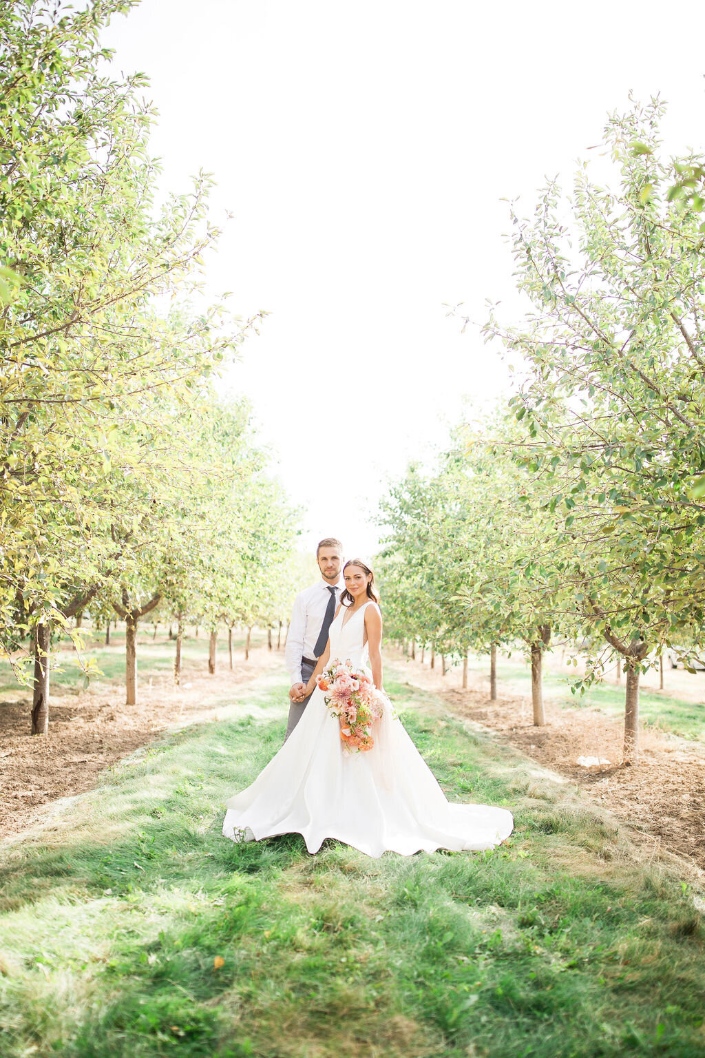 apple-orchard-bridals
