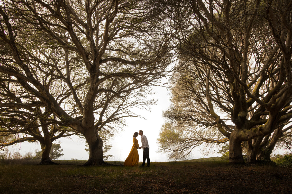 Artistic-Maternity-Photographer