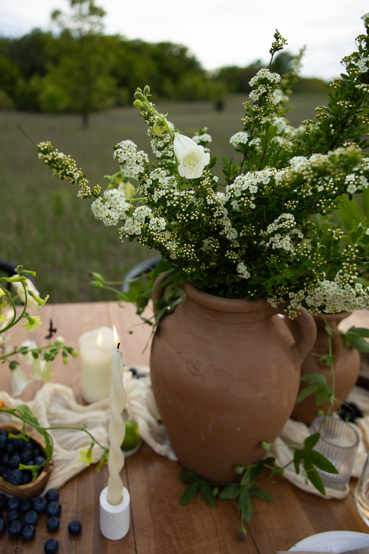 GardenFloral006