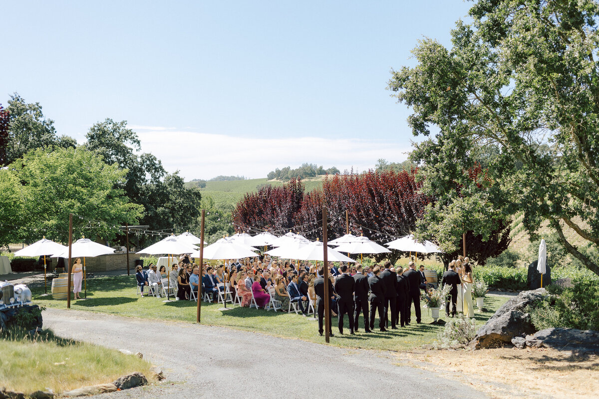 0043_gretchen_gause_photo_healdsburg_wedding_arista_winery_ceremony_blue_sky_2024-