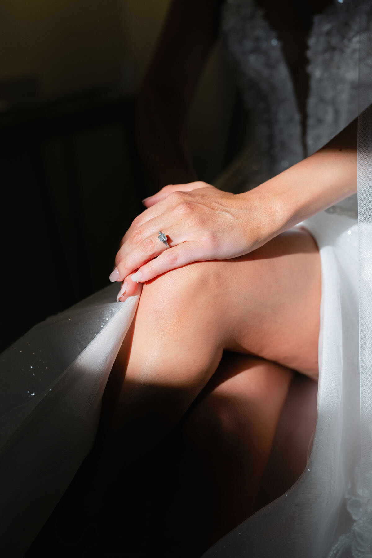 The Paseo wedding venue in Phoenix Arizona desert landscape