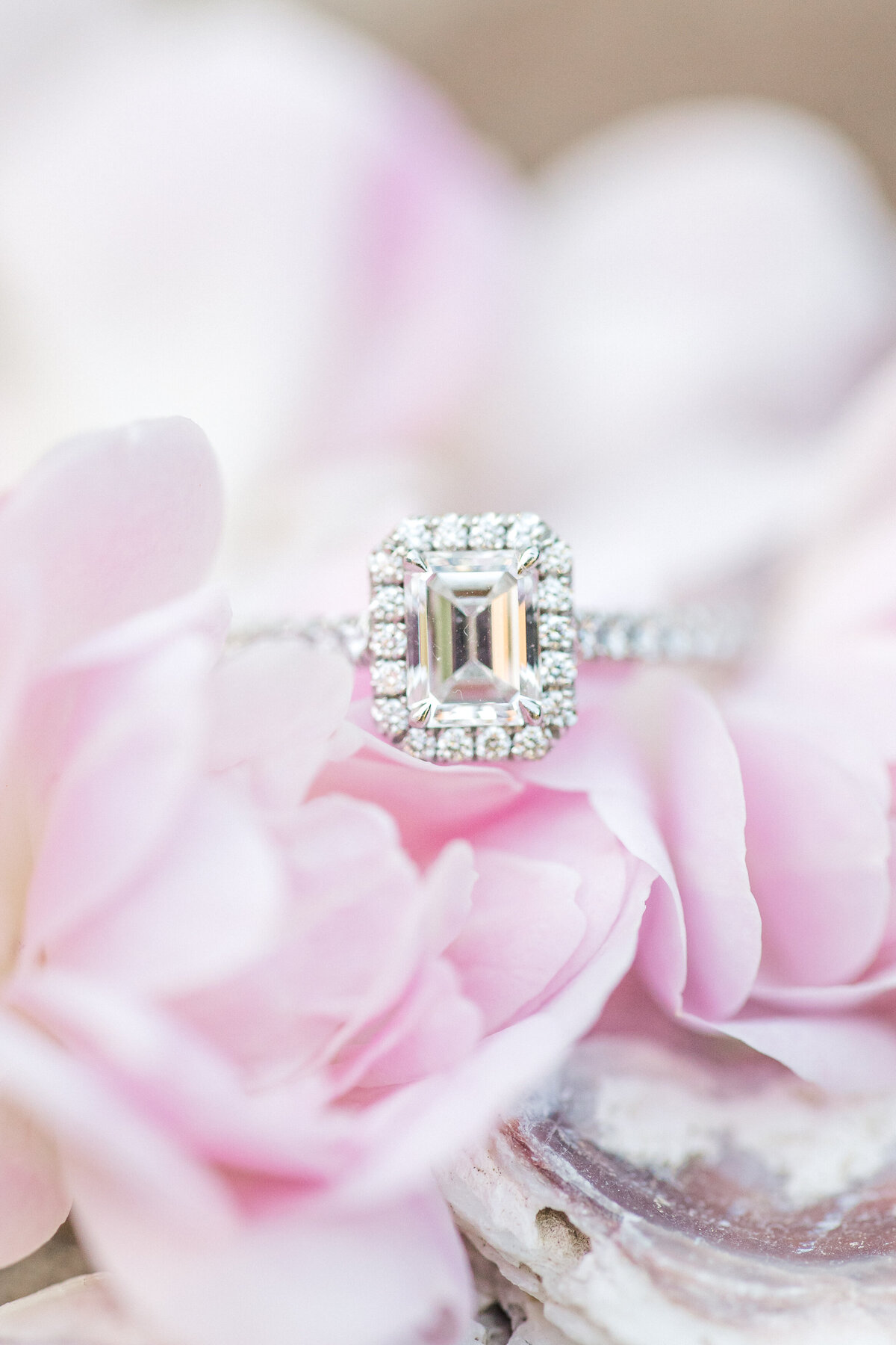 Close-up wedding ring on flowers by Karen Schanely