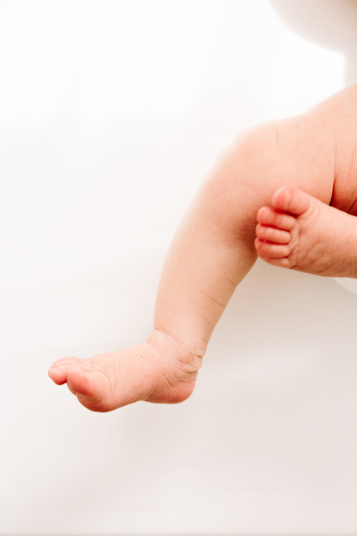 Close up of newborn baby's toes on white background