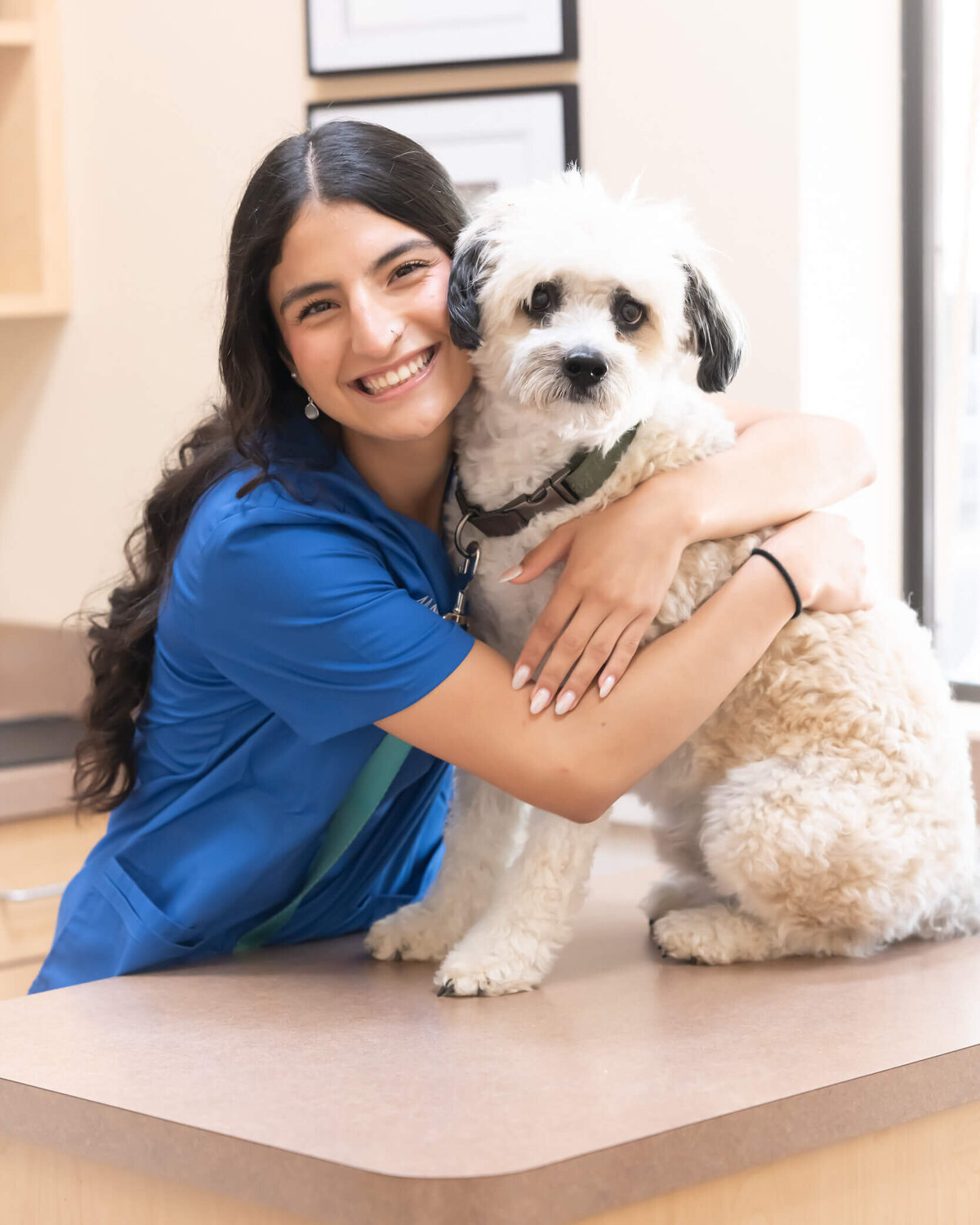 vet's office branding session headshot in exam office of receptionist with long brown curly hair in blue scrubs, hugging her white dog with black ears in an exam room