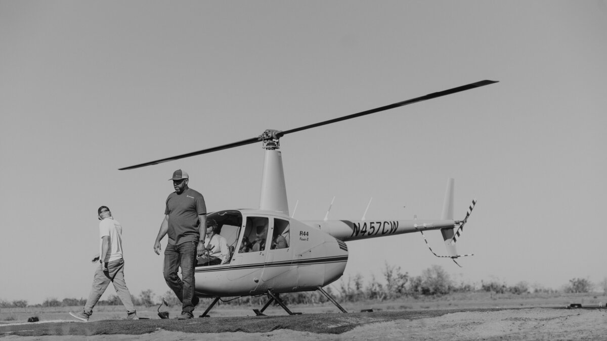 T82-31