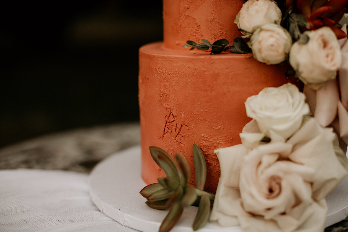 small southwestern intimate wedding cake