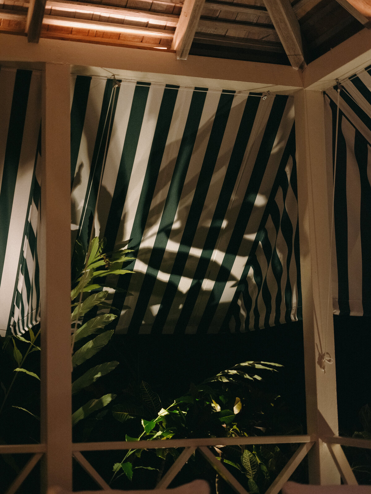 250509HANTYL-adv0045