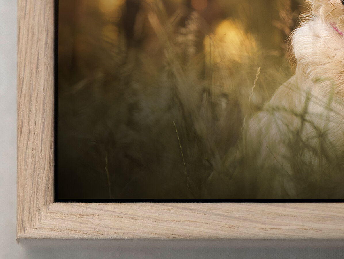 Oak Box Frame (1 of 1)