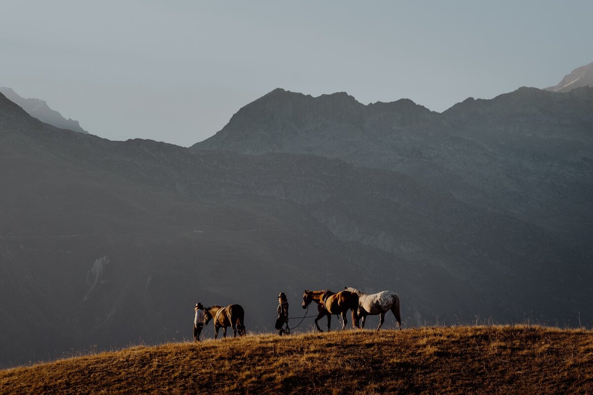 herd_3