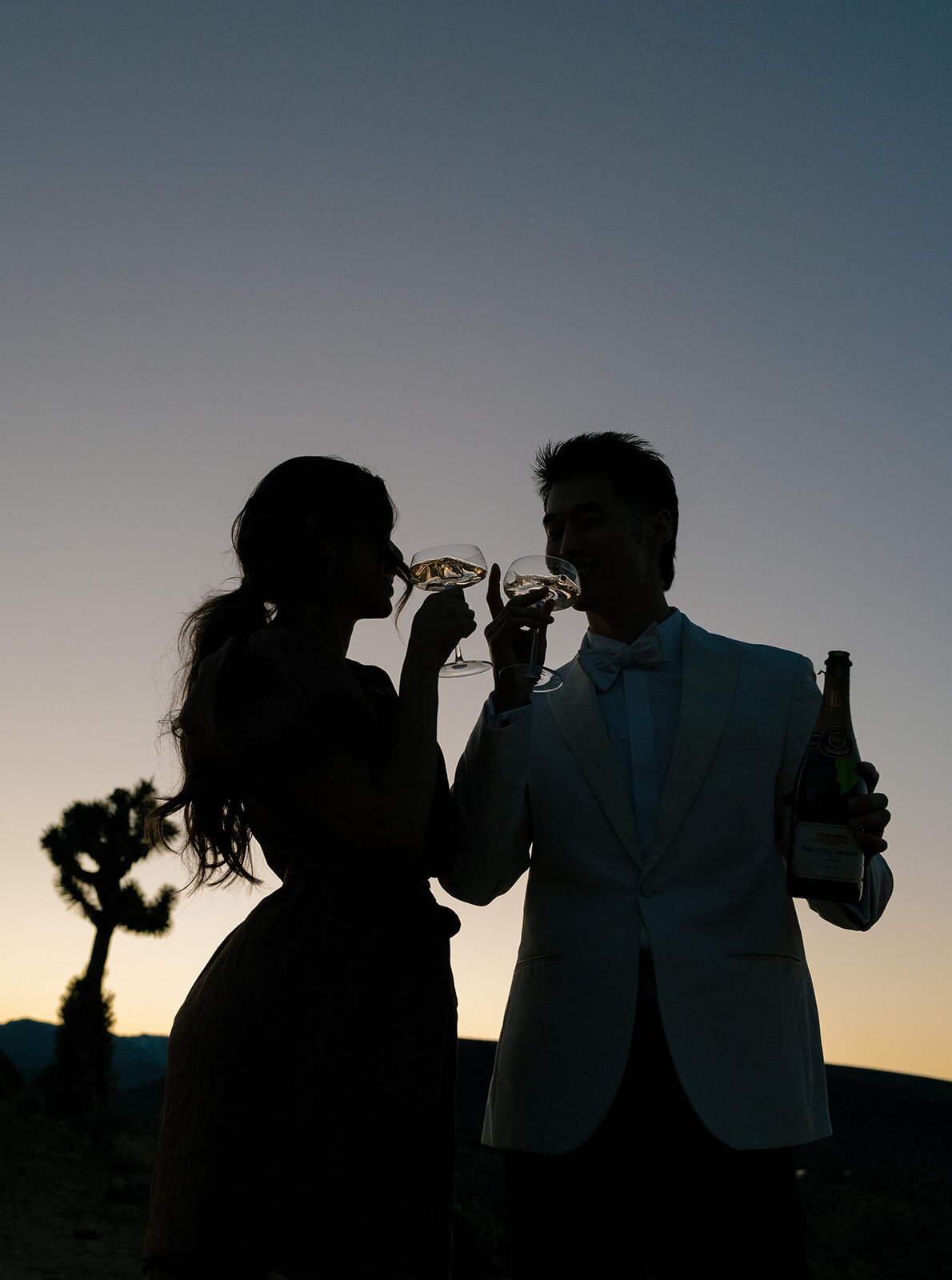 Wedding-Reception-Yucca-Valley--California-Kelli-Christine-Photo-22_websize