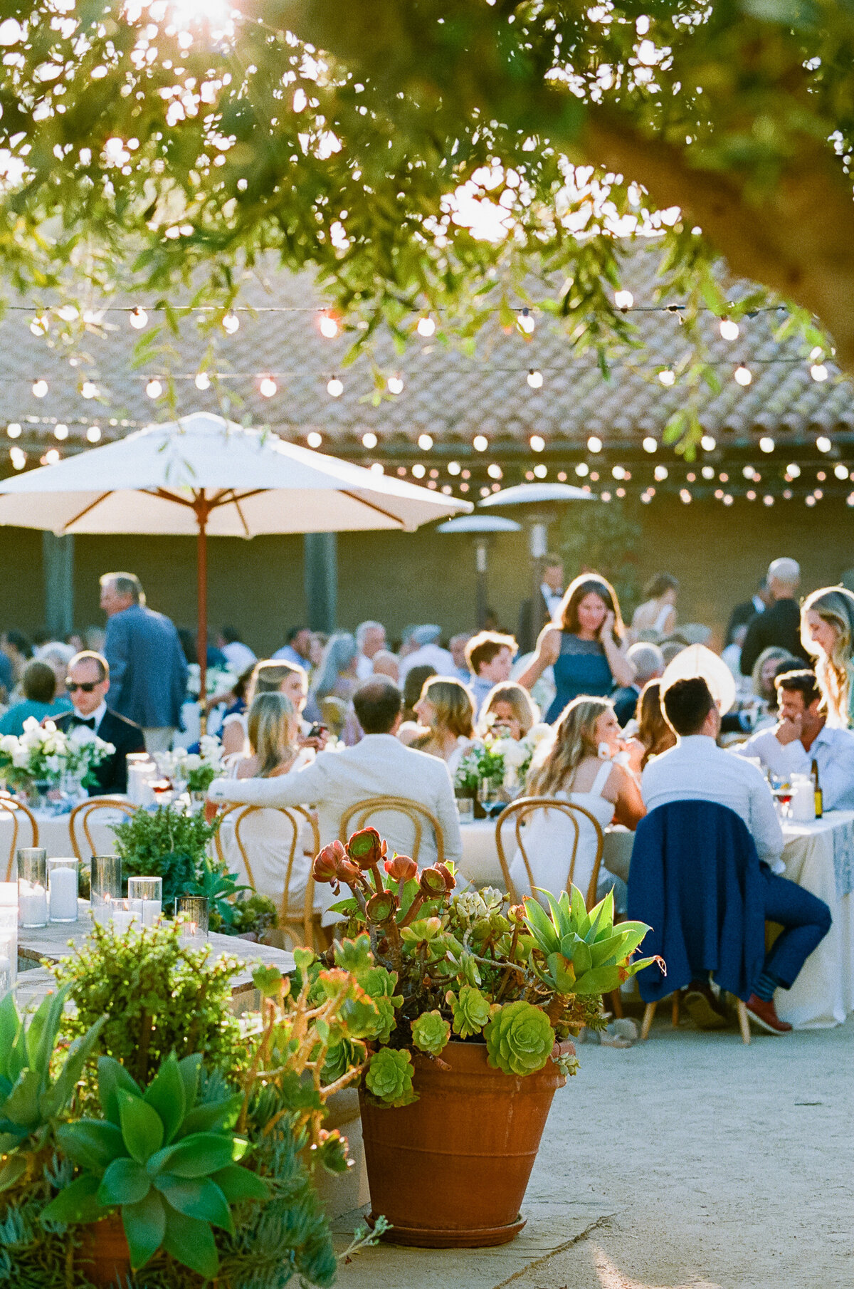 California-Coastal-Wedding-Santa-Barbara-Historical-Museum-Megan-Rose-Events28