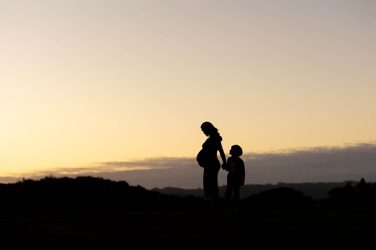 Bay-Area-Maternity-Photographer24