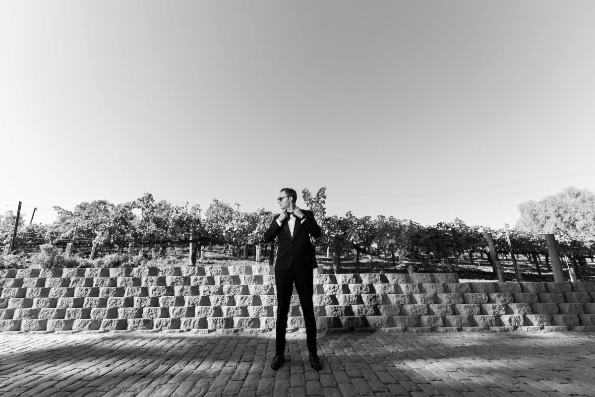 lake-oak-meadows-wedding-14