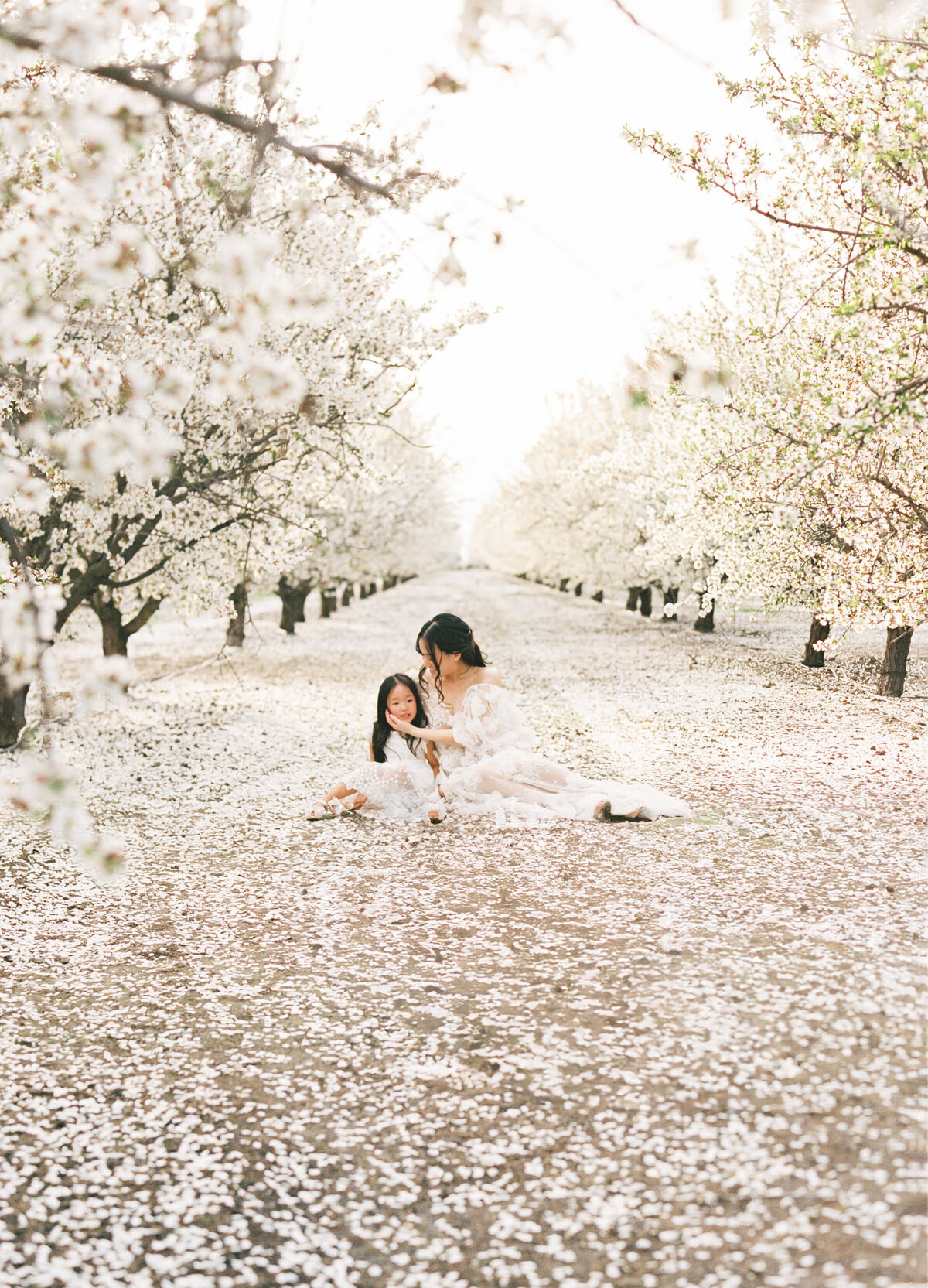 Bay Area Family Photographer5008