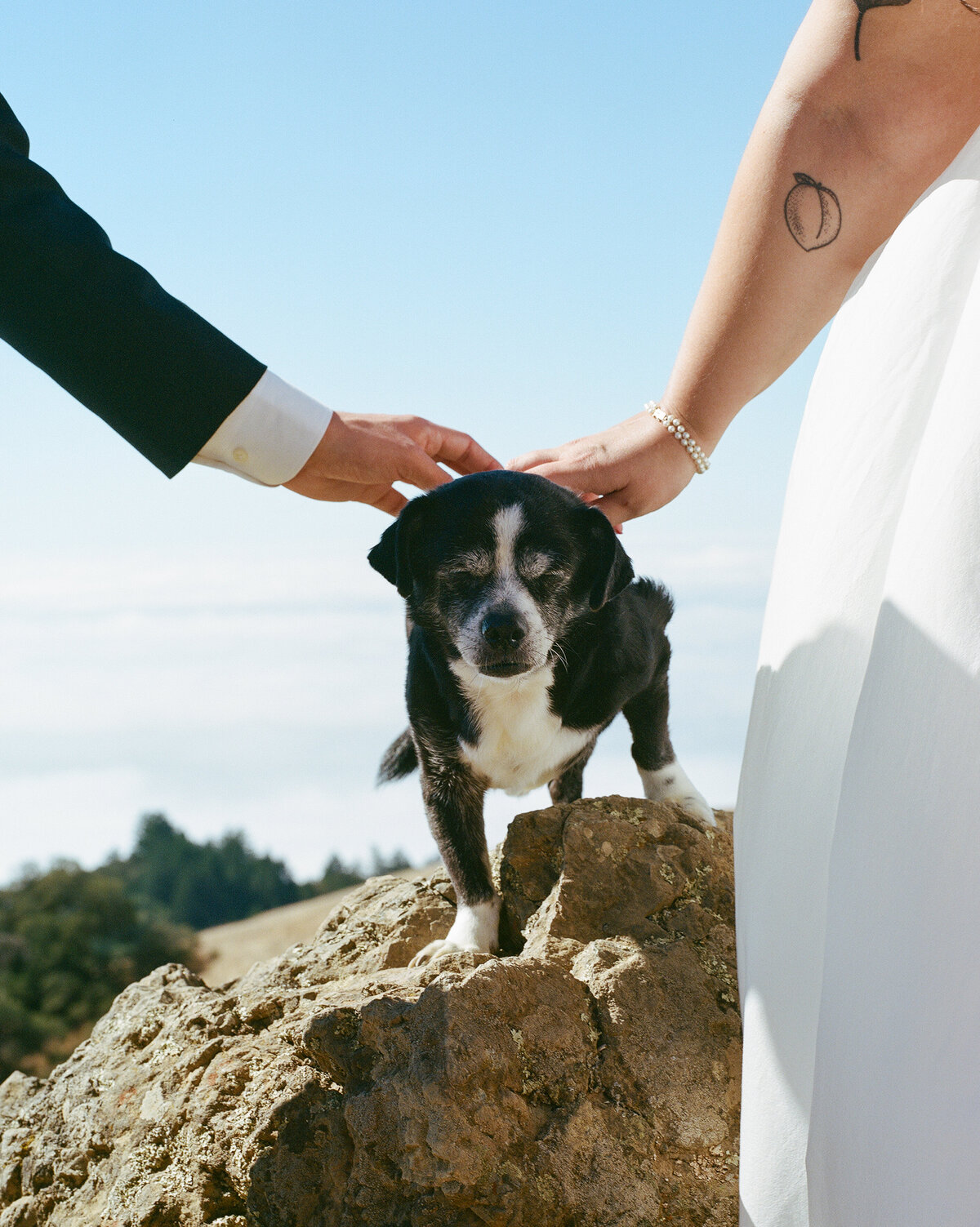 AllisonStoddard_SarahJonathanPreviews-38