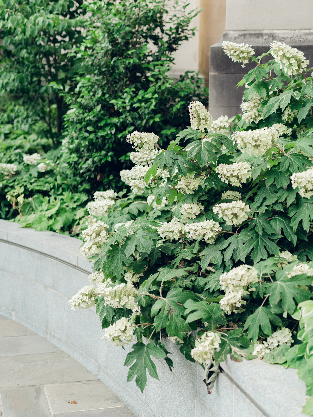 WashingtonNationalCathedral-WashingtonDCWeddingPhotographer-NicoleSimenskyPhotography-11