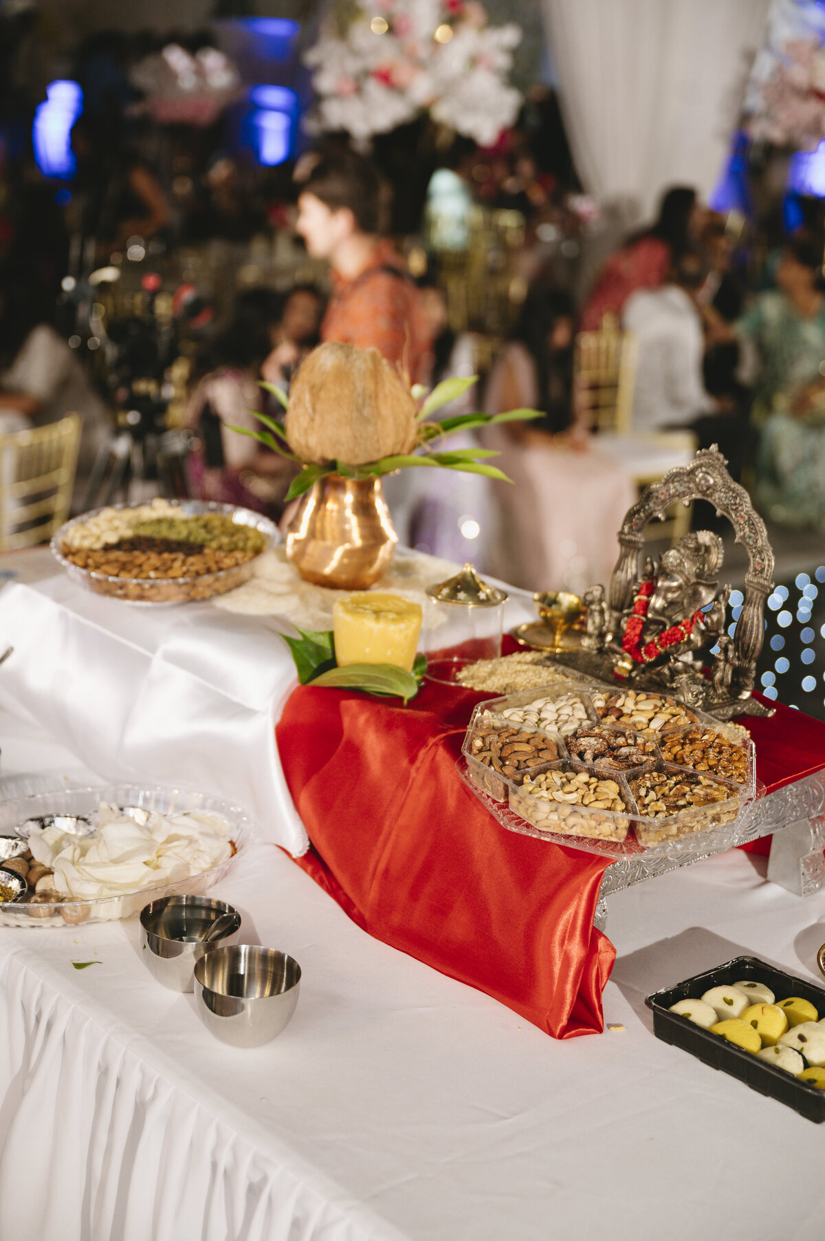 Savannah Indian Wedding Photographer