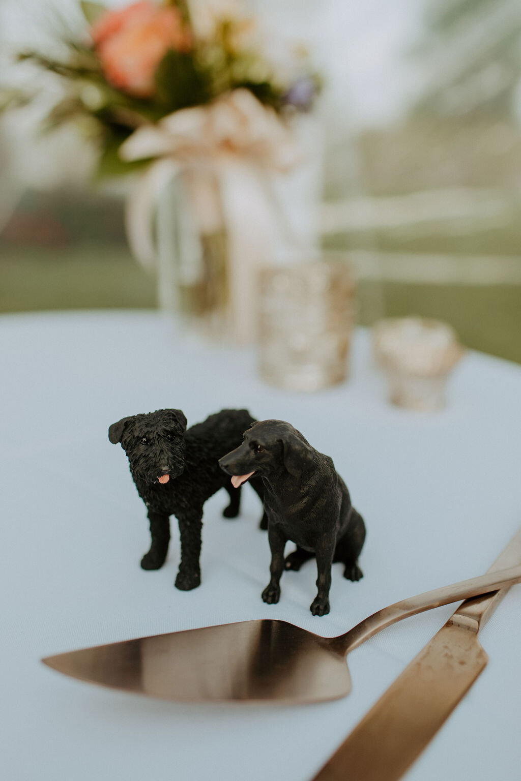 s+c_winterhavenwedding-361