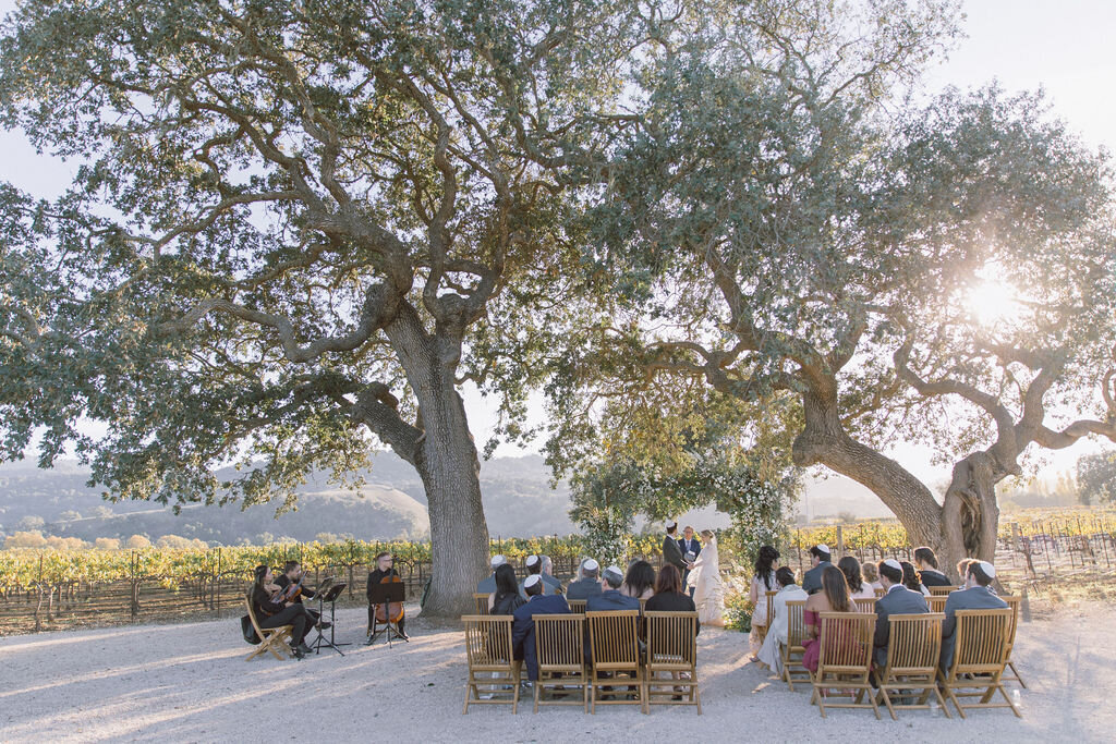 aziz_studios_california_new_york_wedding_event_film_videography_videographer_cinema_luxury61