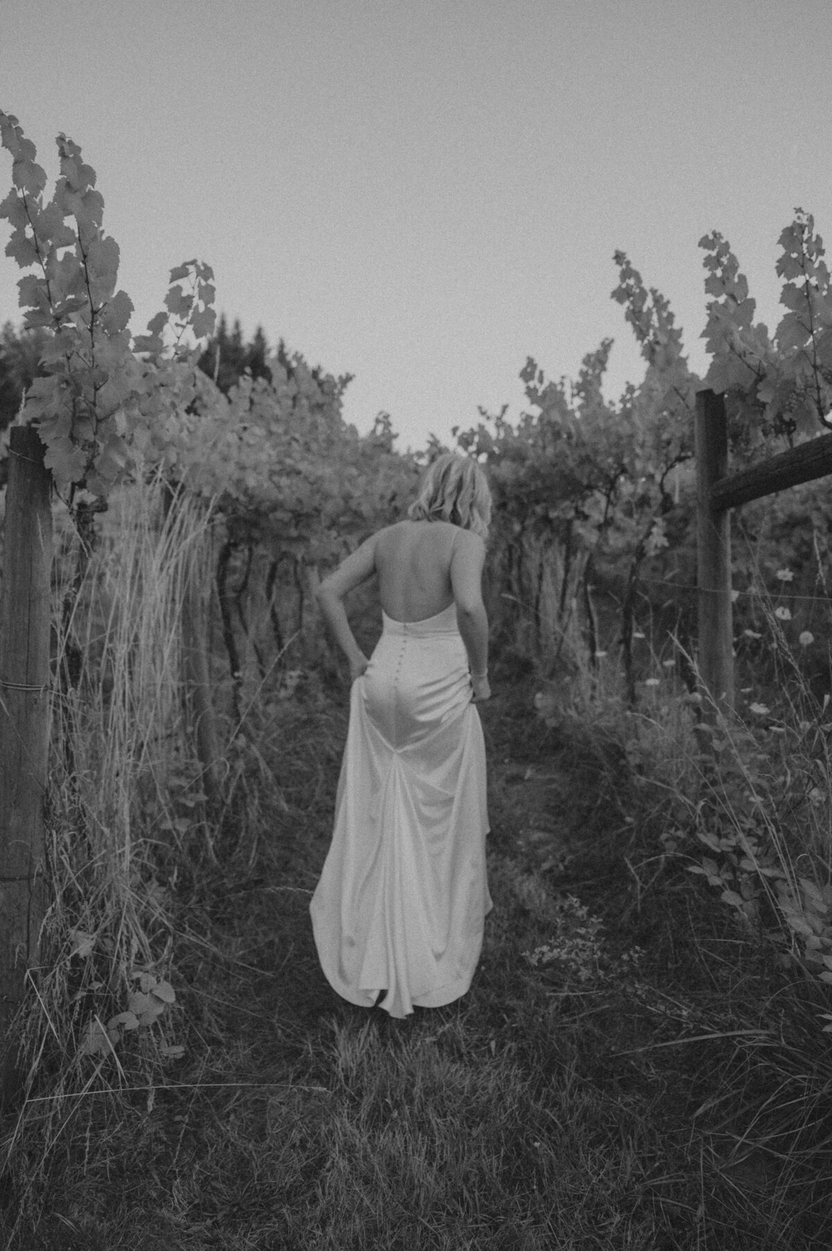 Oregon-Vineyard-wedding-photos-63