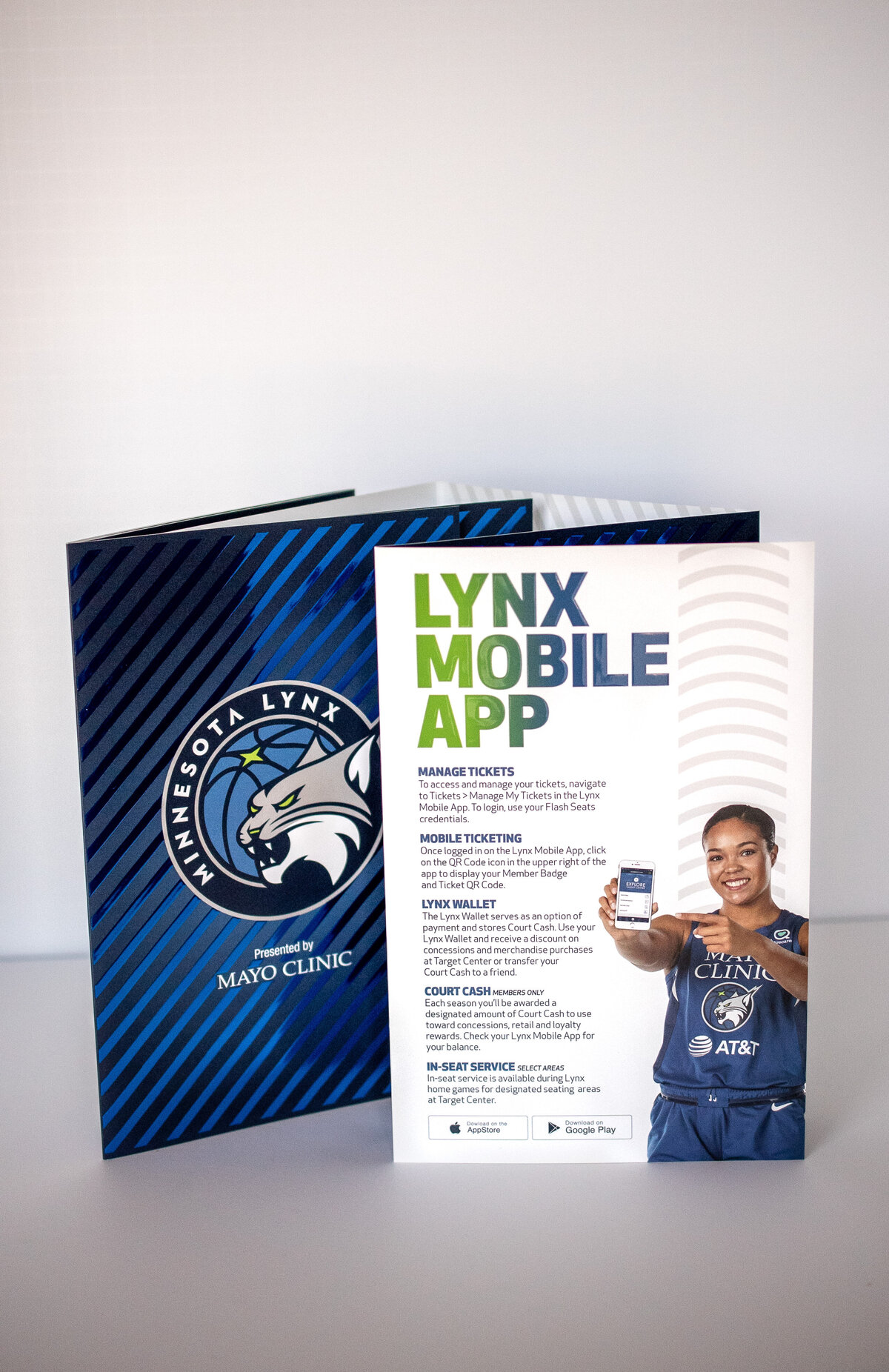 Lynx_Renewal_Piece-4