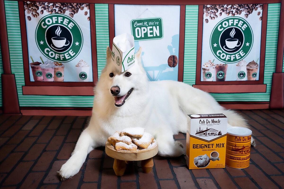 New Orleans Pet Photographer 71