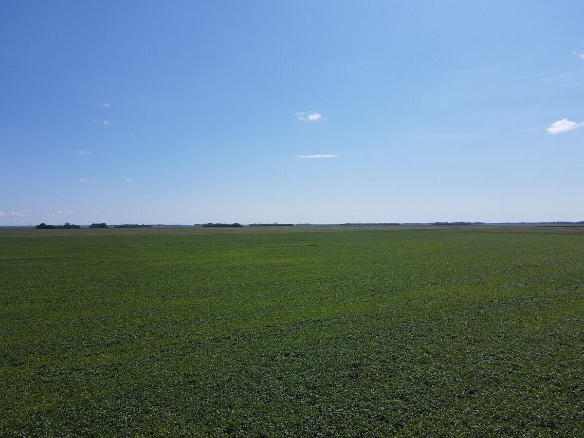 DJI_0882