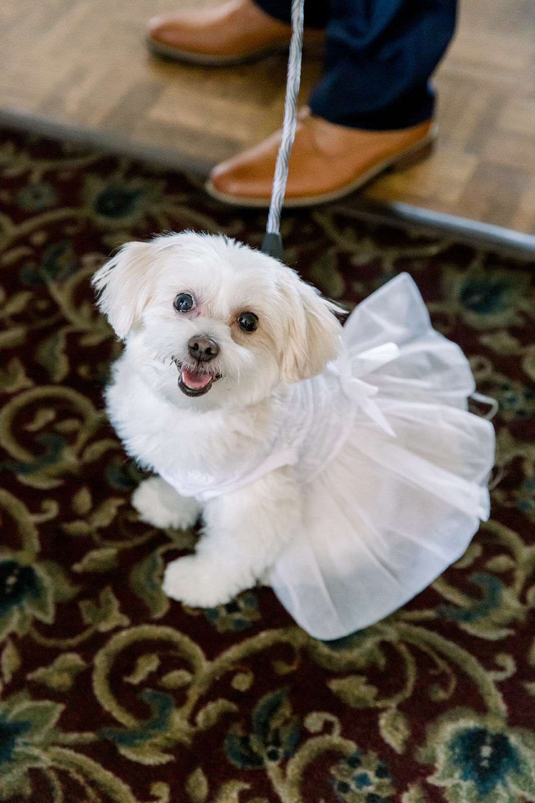 Detroit-Michigan-Wedding-Photographer-Kristi-and-Zack-2