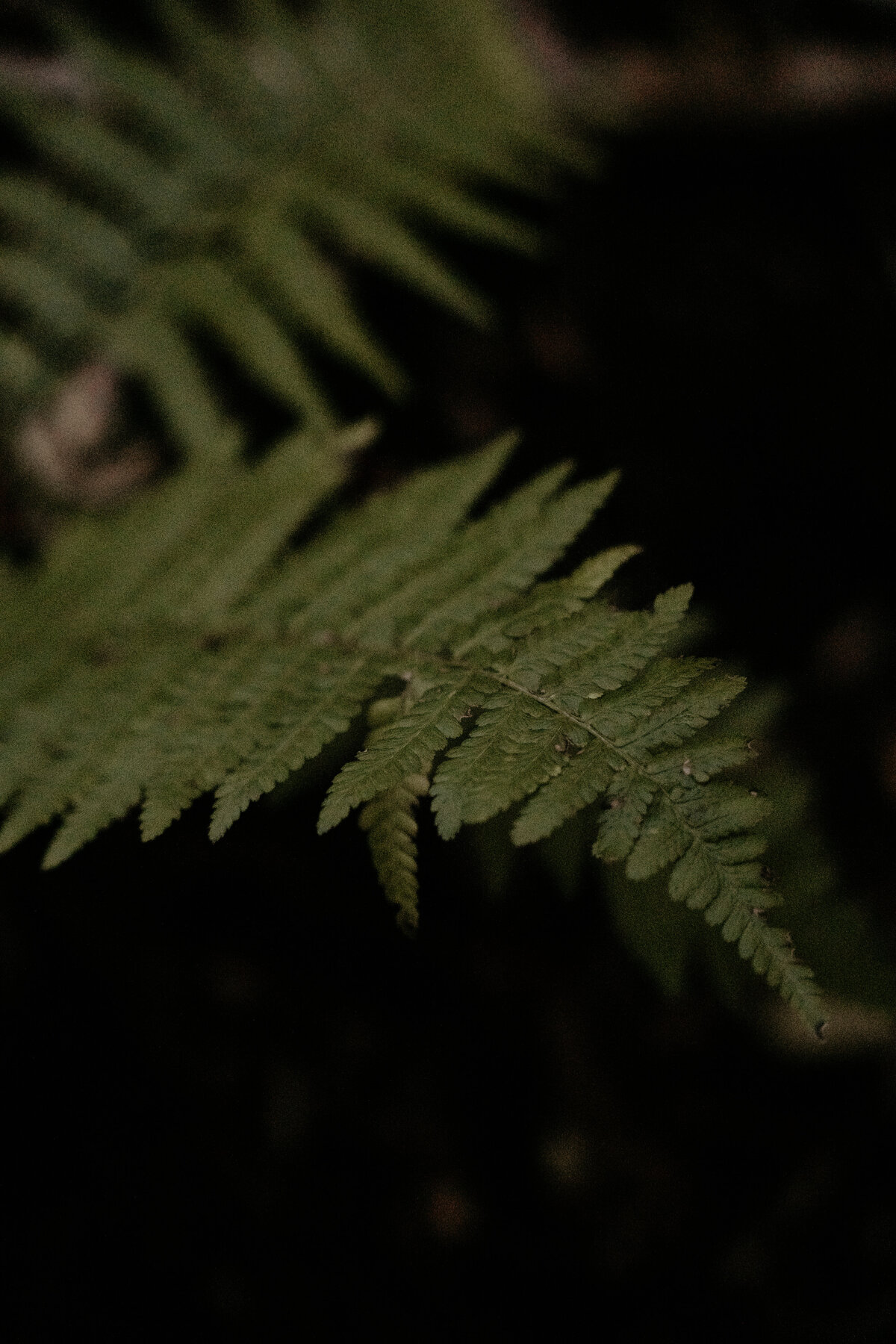 ElinJoakim-12okt2024-547