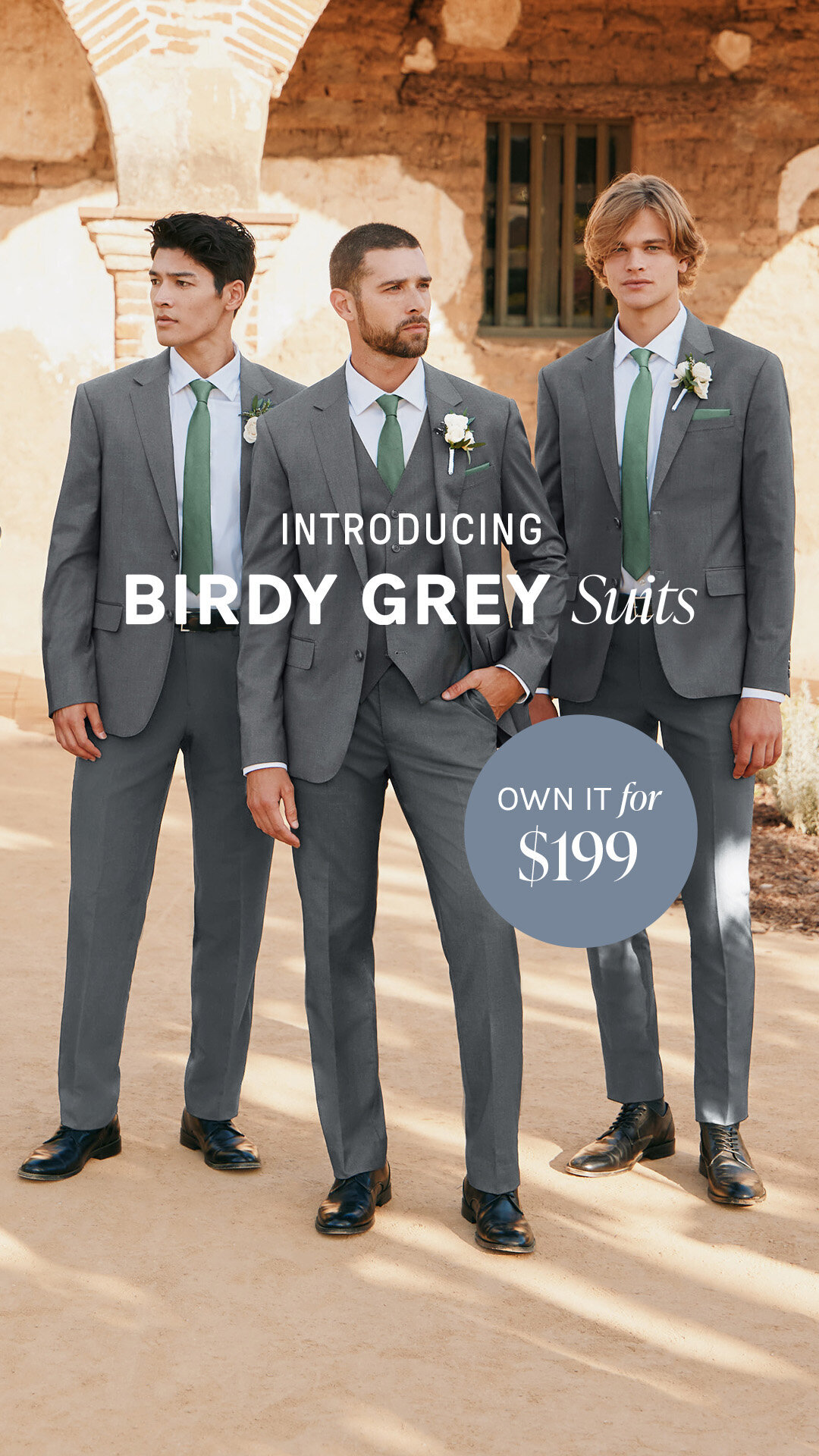 9x16-Intro-Birdy-Grey-Suits-Meta-V1-1080x1920