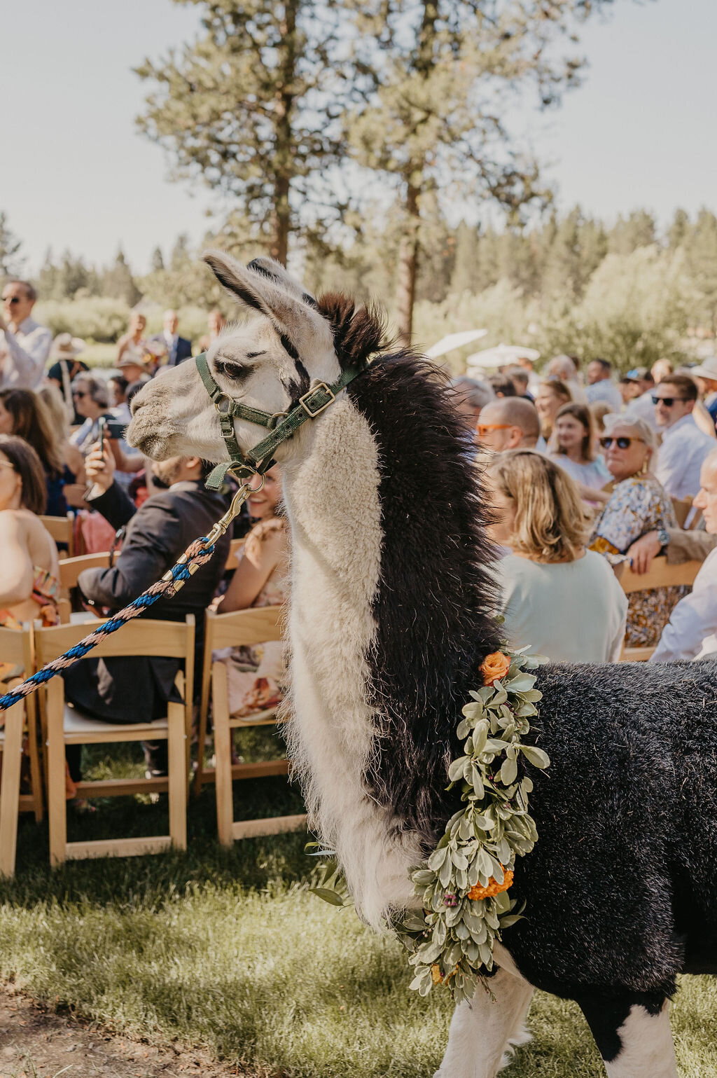 Kirsten+Phil-534