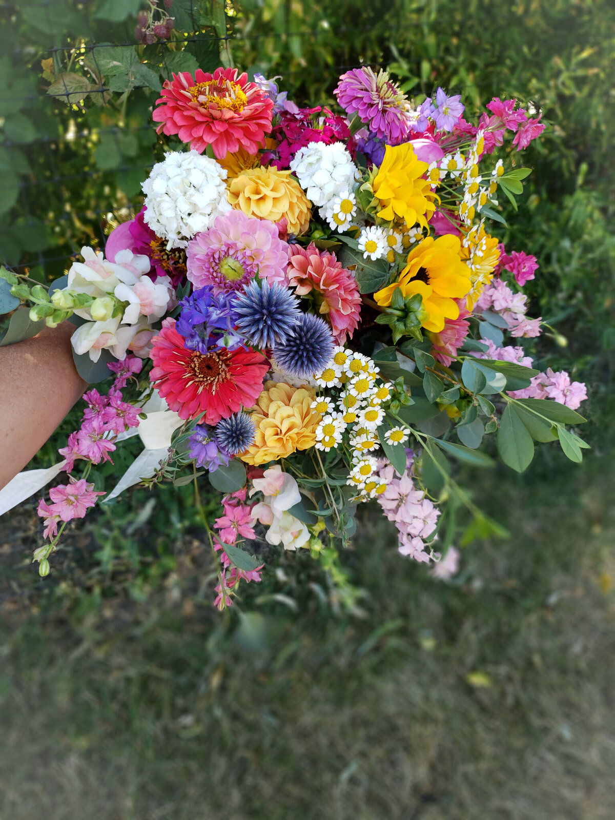 BeeHaven Flower Farm Bonners Ferry Idaho Floral Florals Classes Workshops Farm Stand Fresh Cut Flower Bouquets All Occasion Flowers Weddings Events Wedding Funeral Sympathy Grower Growing Farmer 27