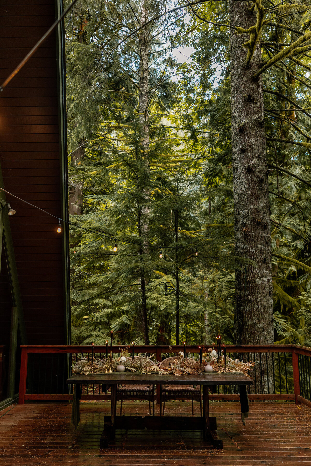 Styled Wild OR Cabin Elopement 2