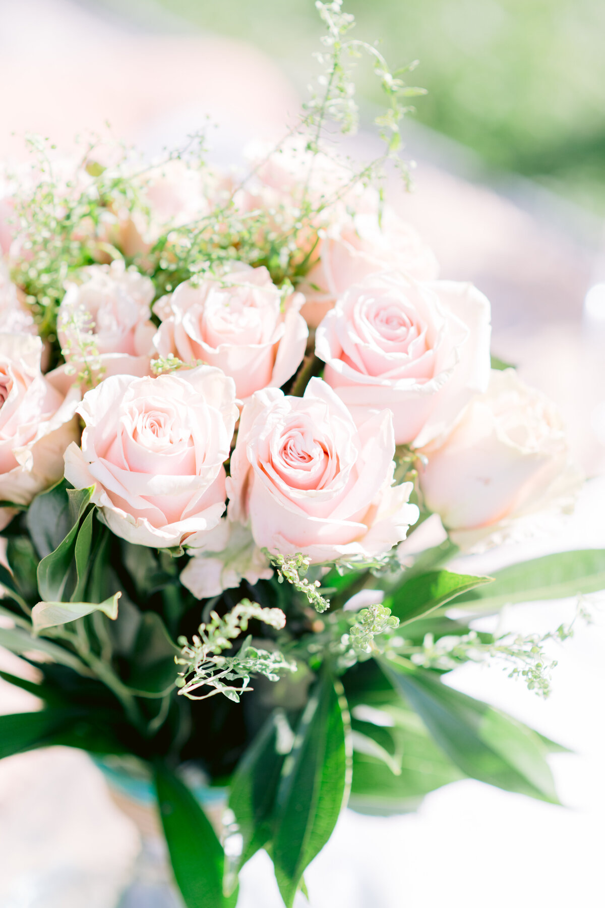 Proposal ideas in Austin up-close pink roses