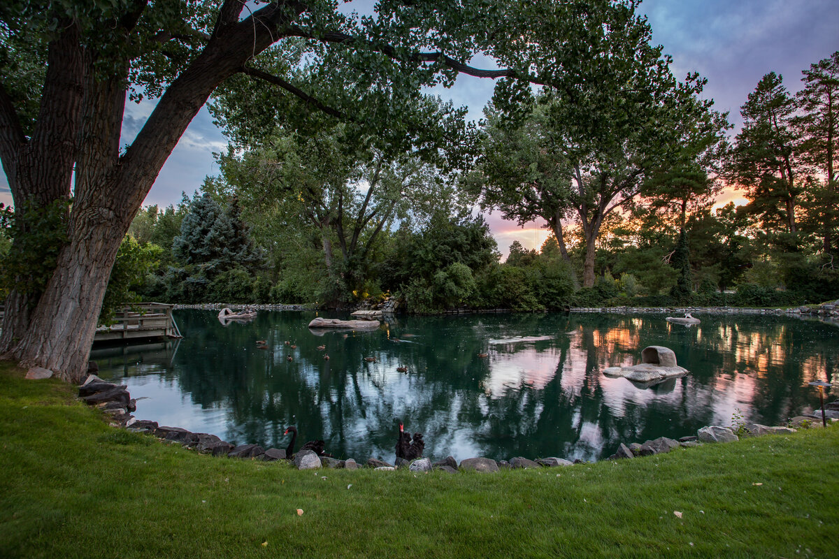 Dusk-30
