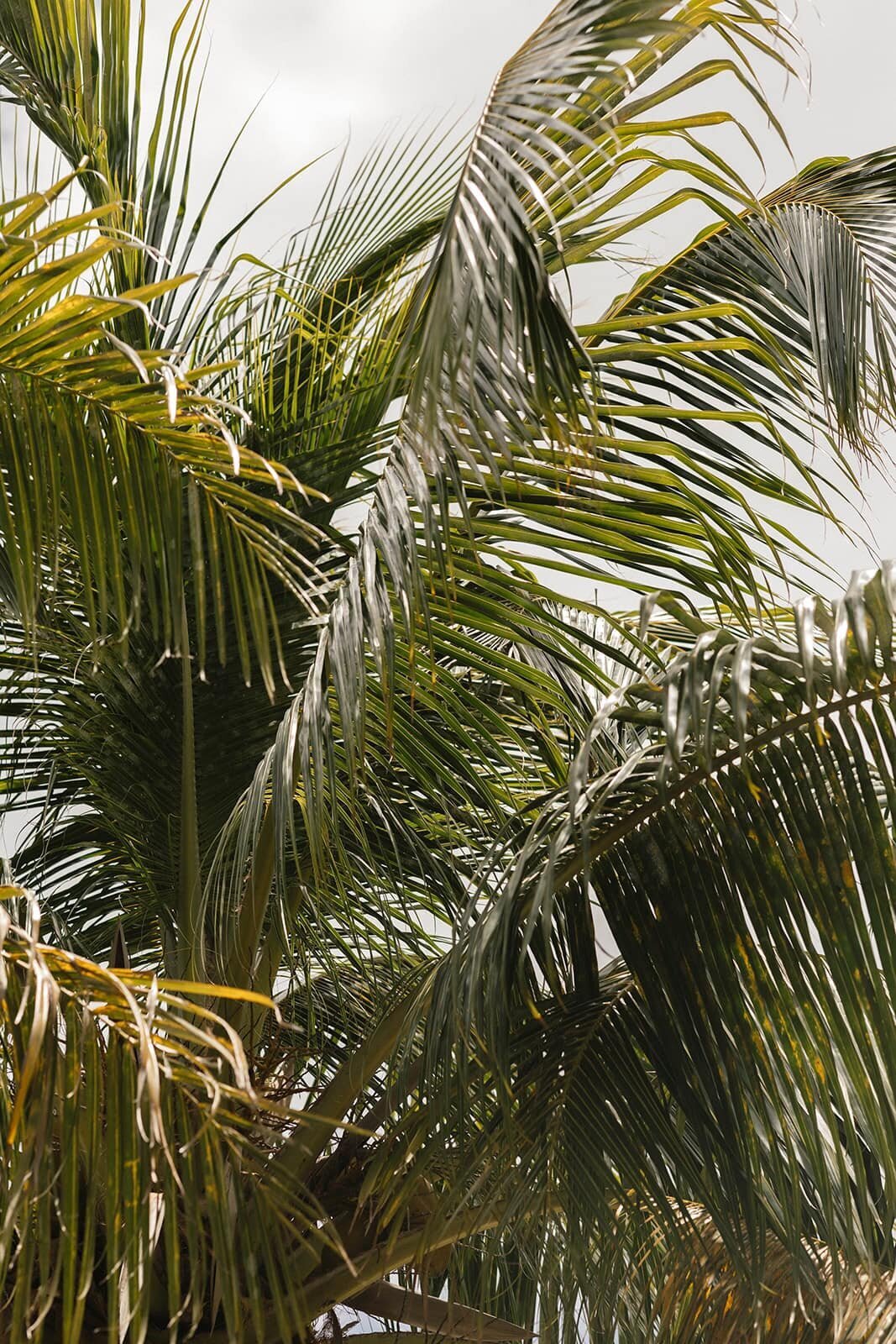 Puerto-Rico-elopement-photos-27