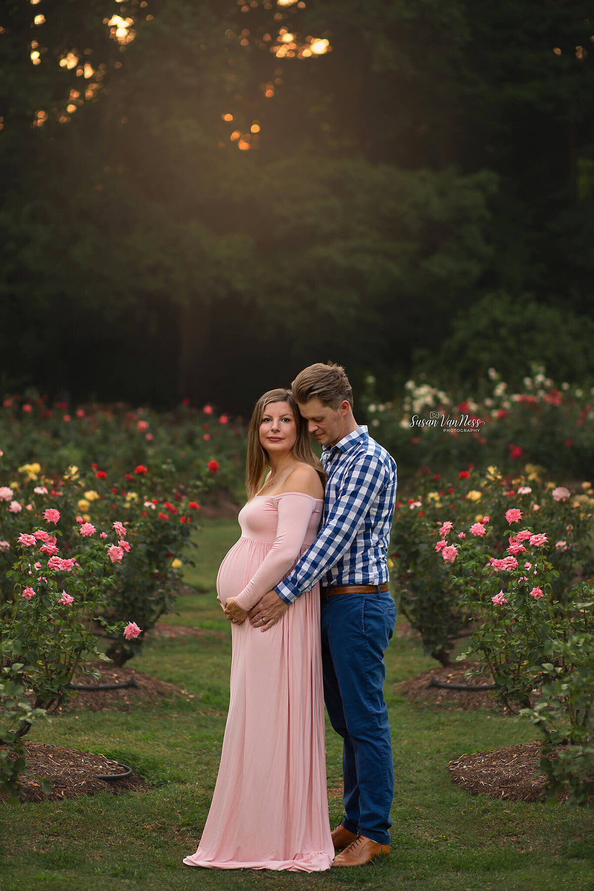 Maternity photos of expectant couple in rose garden cuddling