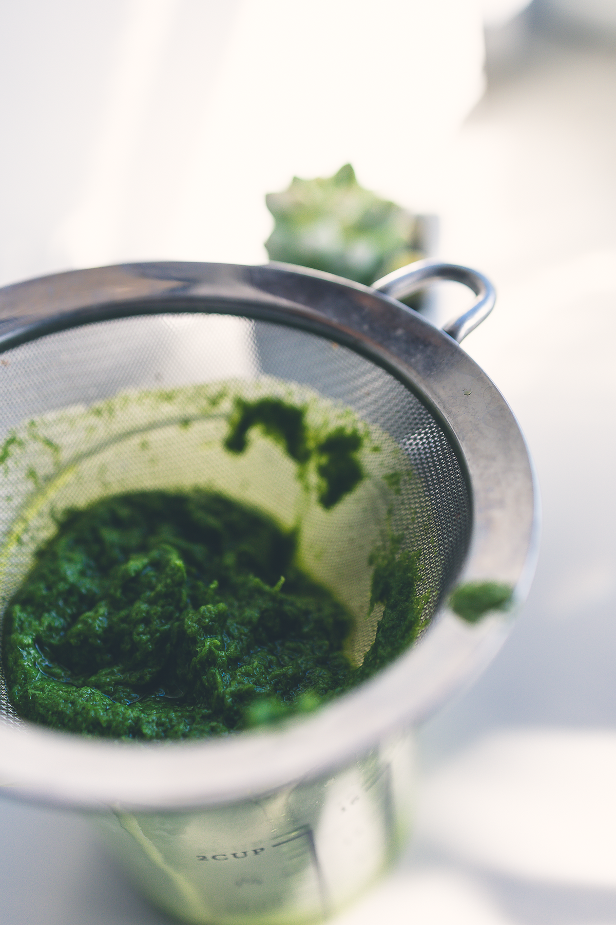 How to Make Chive OIl for the Home Cook-2013