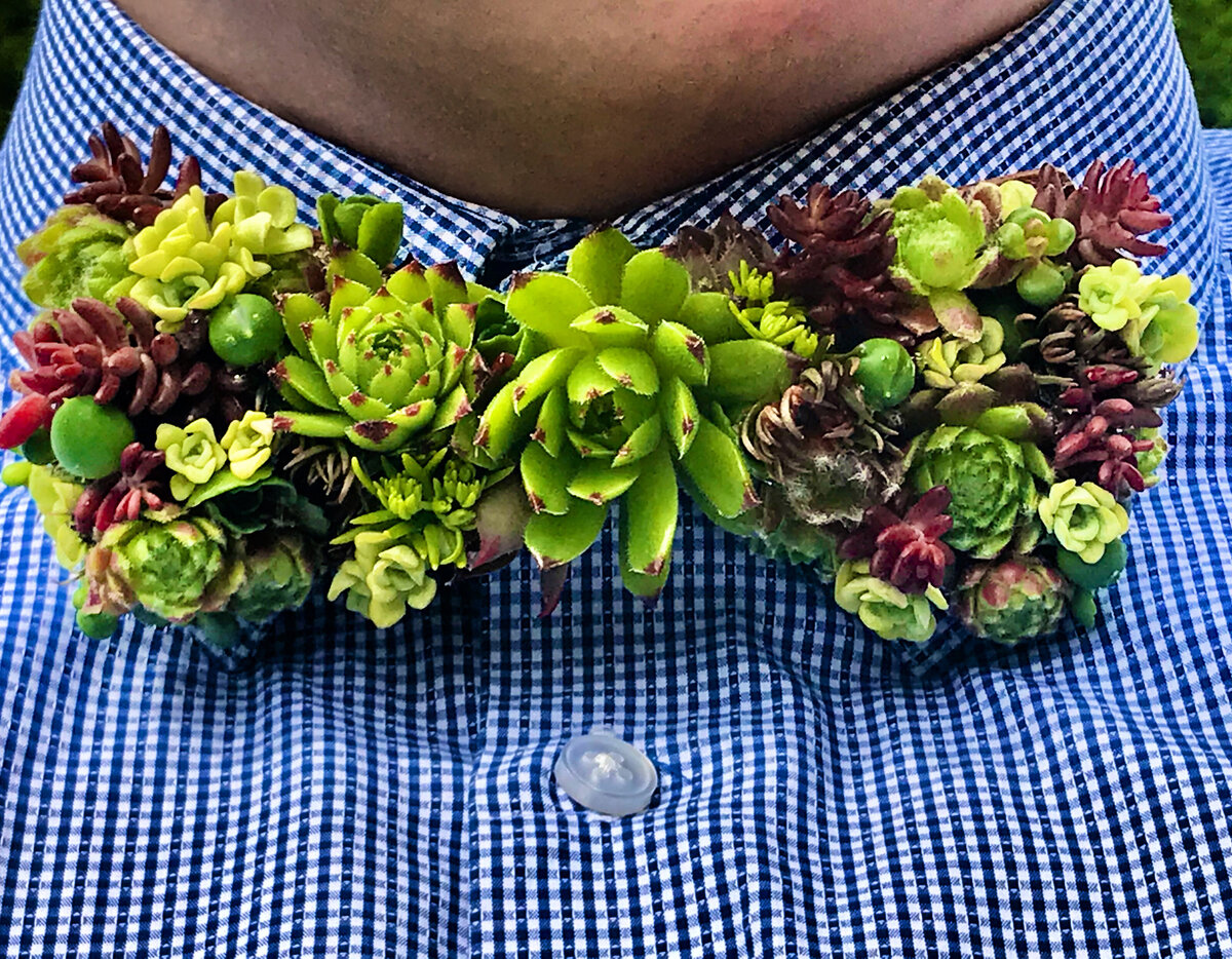 Succulent Wooden bow tie