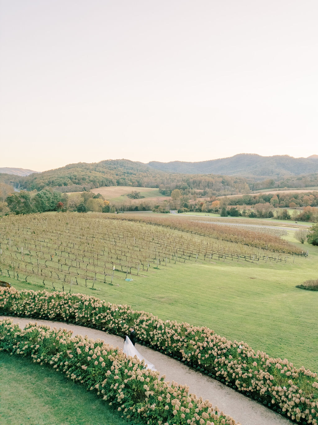 Jess&Christian_PippinHillWedding_SneakPeek-85
