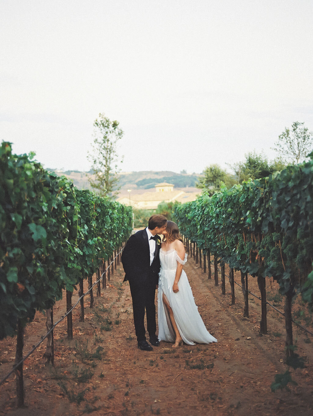 MonserateWinery-film-54