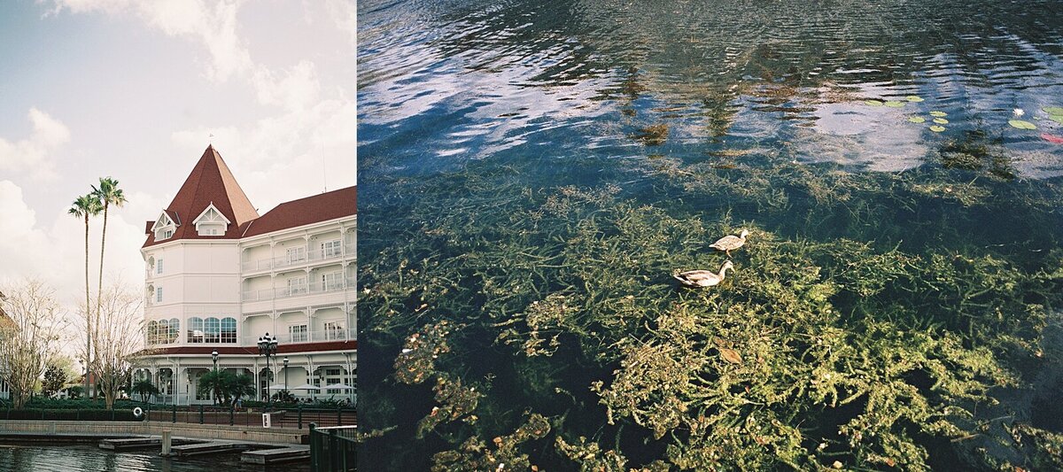 Hurst Wedding Film-Casie Marie Photography-Disney World Wedding Pavilion Contemporary Florida-85