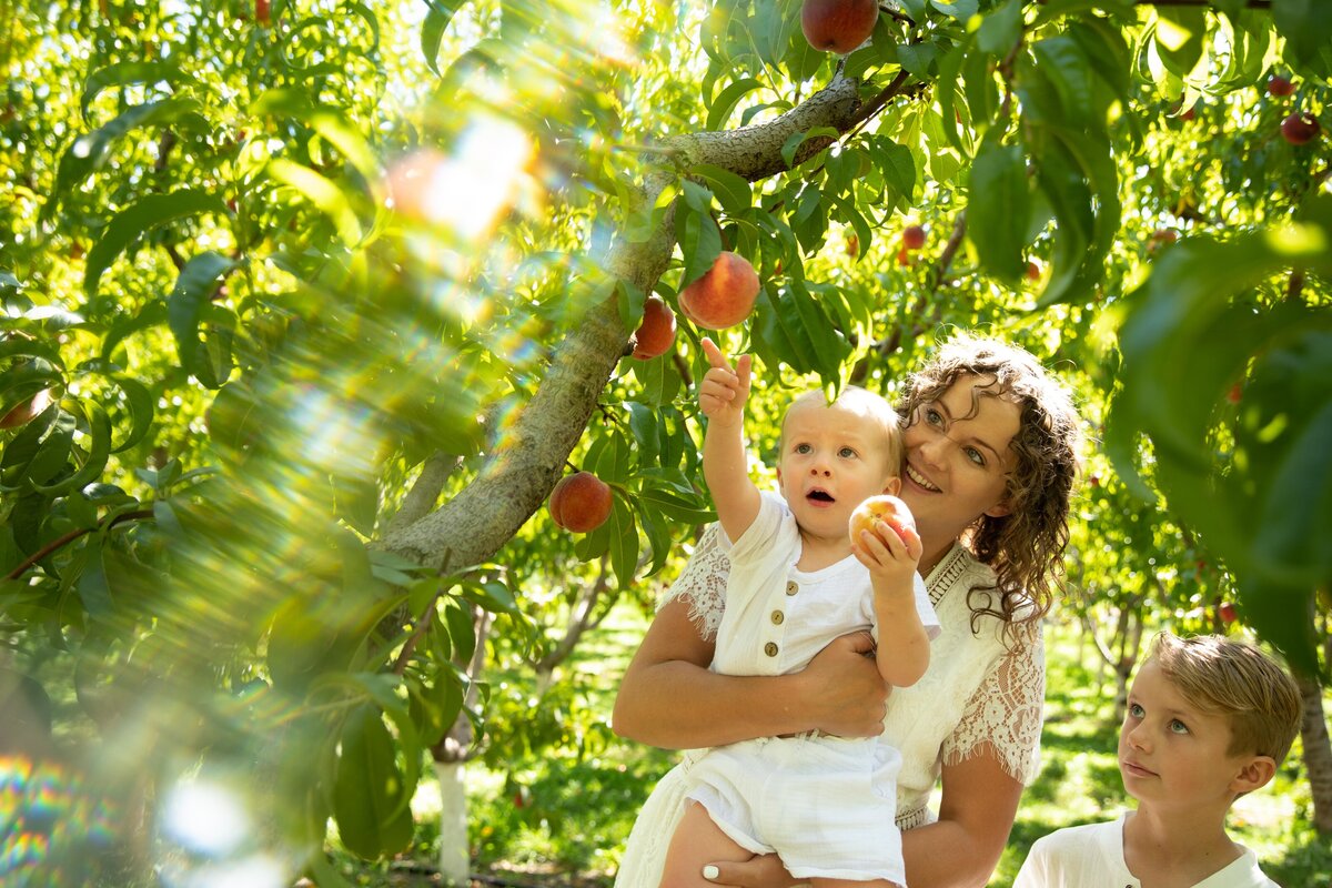 Family photography, montrose colorado